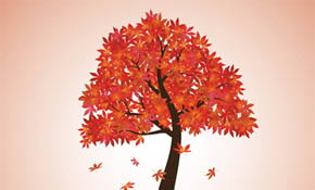Autumn Tree Background